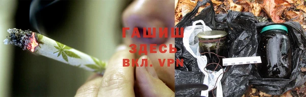 эйфоретик Арсеньев