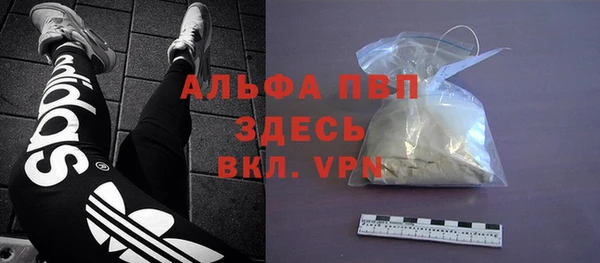 эйфоретик Арсеньев