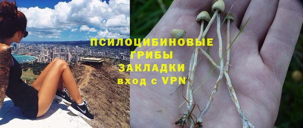 эйфоретик Арсеньев